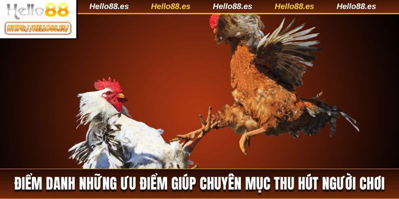 Điểm danh những ưu điểm giúp chuyên mục thu hút người chơi