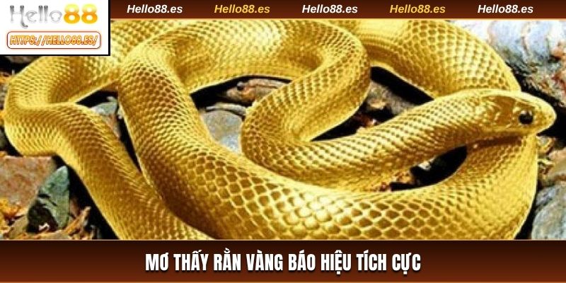 Mơ thấy rắn vàng báo hiệu tích cực