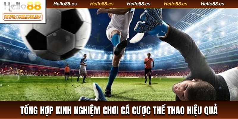 Tổng hợp kinh nghiệm chơi cá cược thể thao hiệu quả